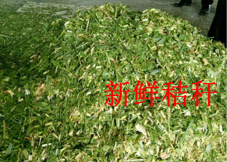 截圖20260205101151.png 截圖20260205101151.png