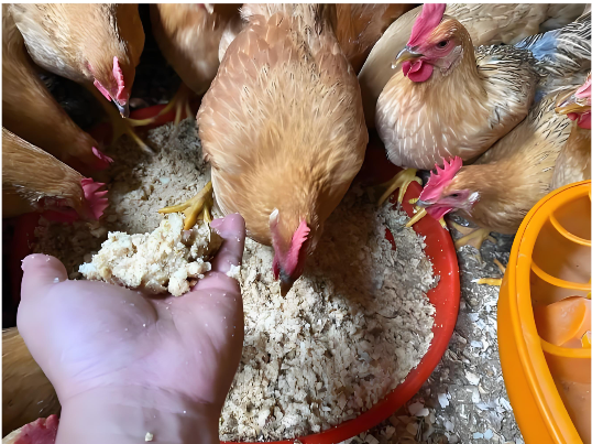 04312d3e-72b3-480d-9876-46b43010ccc8.png 04312d3e-72b3-480d-9876-46b43010ccc8.png