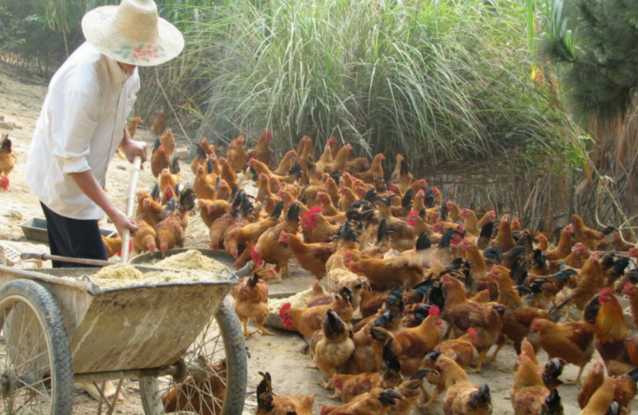 1721116417670478.png 1721116417670478.png