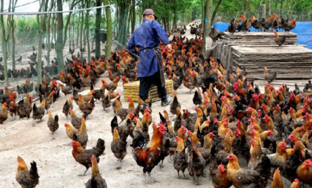 1721116470140055.png 1721116470140055.png