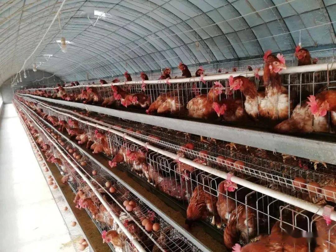 微信圖片_20260313095812.jpg 微信圖片_20260313095812.jpg