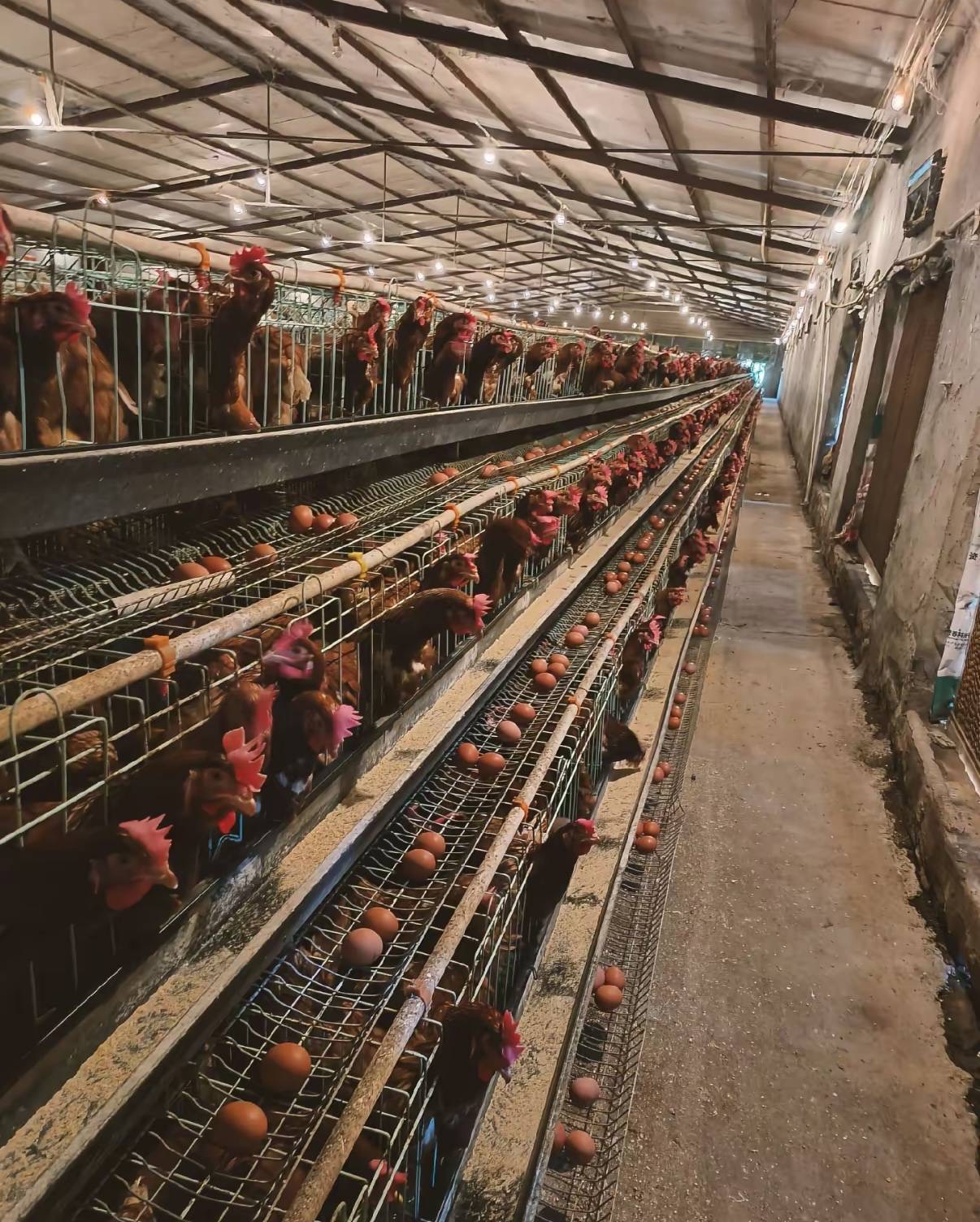 微信圖片_20260313095742.jpg 微信圖片_20260313095742.jpg