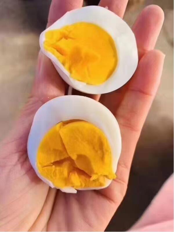 微信圖片_20260313095807.jpg 微信圖片_20260313095807.jpg