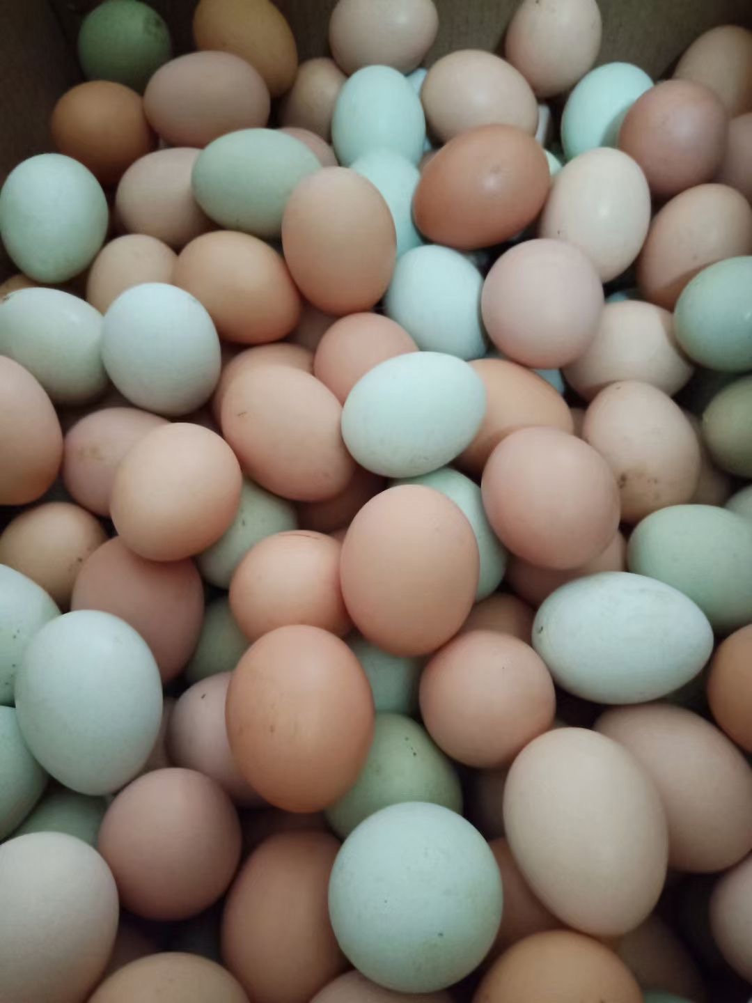 微信圖片_20260313095732.jpg 微信圖片_20260313095732.jpg