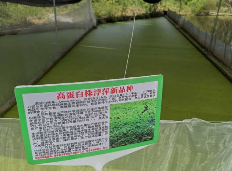 e9687bf2f0ff55d8e1e6432dffe1cfae_17732133296205290.png e9687bf2f0ff55d8e1e6432dffe1cfae_17732133296205290.png