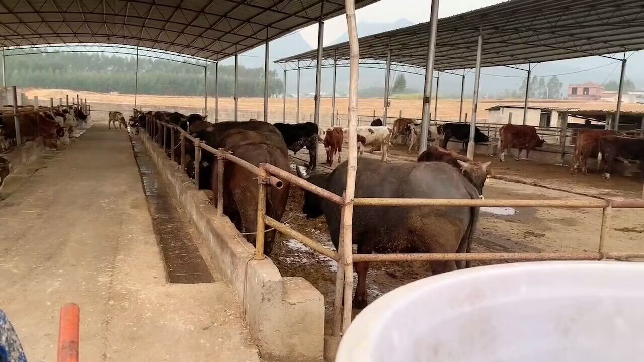 QQ圖片20230318114418.jpg QQ圖片20230318114418.jpg