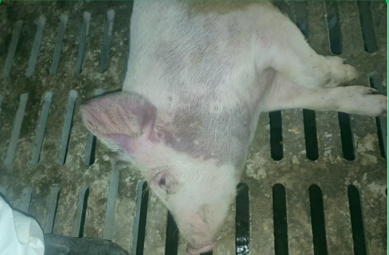 ac8b51f3-1d3a-4031-96b7-41c40e3e8c67.png ac8b51f3-1d3a-4031-96b7-41c40e3e8c67.png