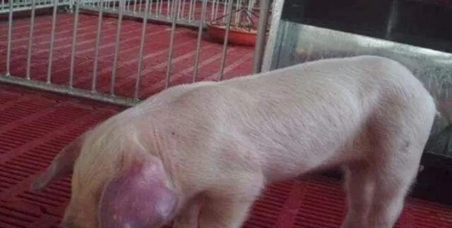 3a592095-9882-4a78-9a7c-4931fb966fed.png 3a592095-9882-4a78-9a7c-4931fb966fed.png