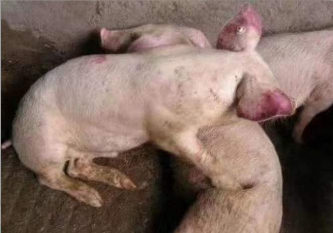 16c23b36-5349-4868-ae52-a3d3167d38df.png 16c23b36-5349-4868-ae52-a3d3167d38df.png