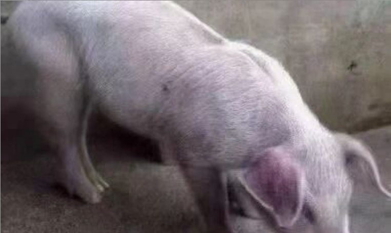 e4e114dd-77f3-4511-9996-4daa037c2a28.png e4e114dd-77f3-4511-9996-4daa037c2a28.png