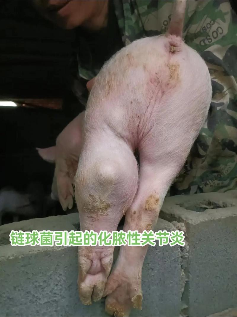 微信圖片_20260318091906.jpg 微信圖片_20260318091906.jpg