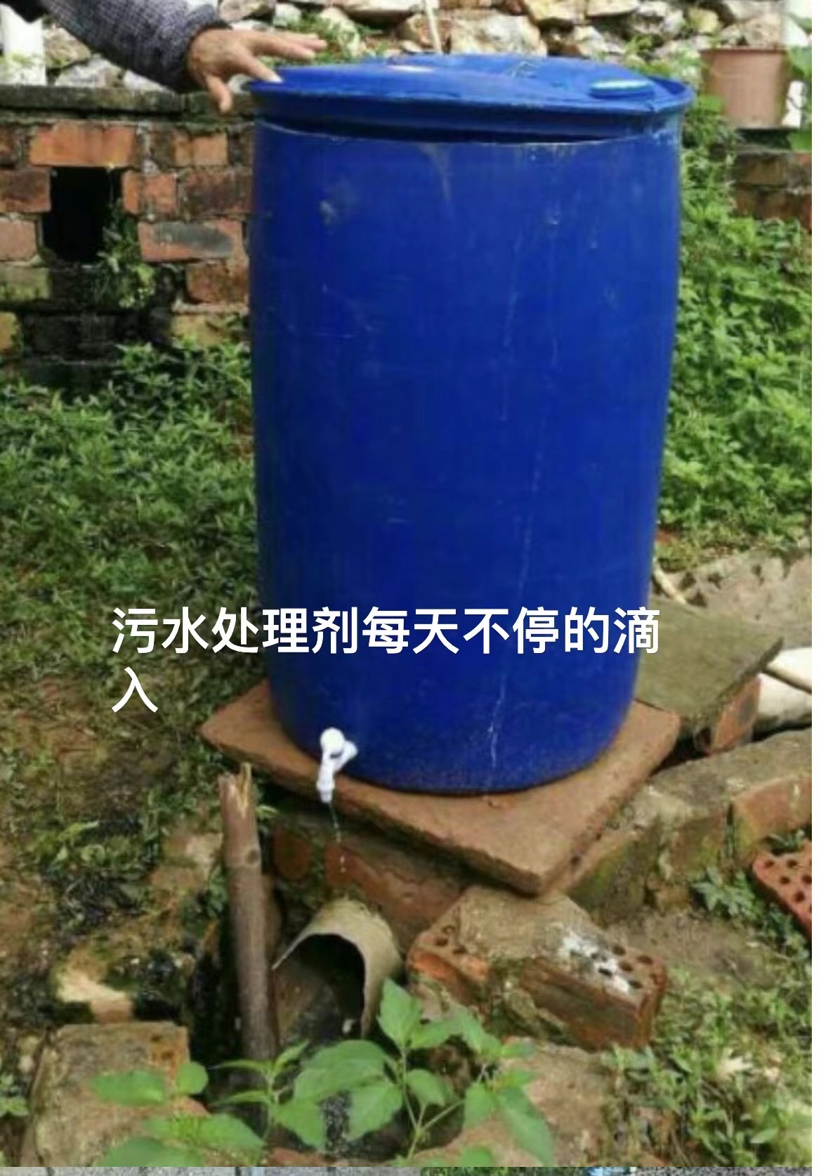 17338878719342985.jpg 17338878719342985.jpg