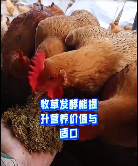 截圖20260320094024.png 截圖20260320094024.png