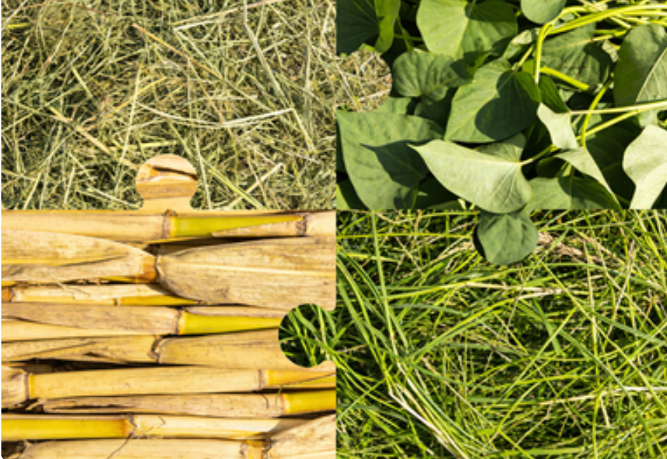 截圖20260320094502.png 截圖20260320094502.png