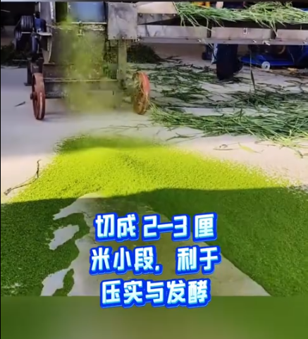 截圖20260320095005.png 截圖20260320095005.png