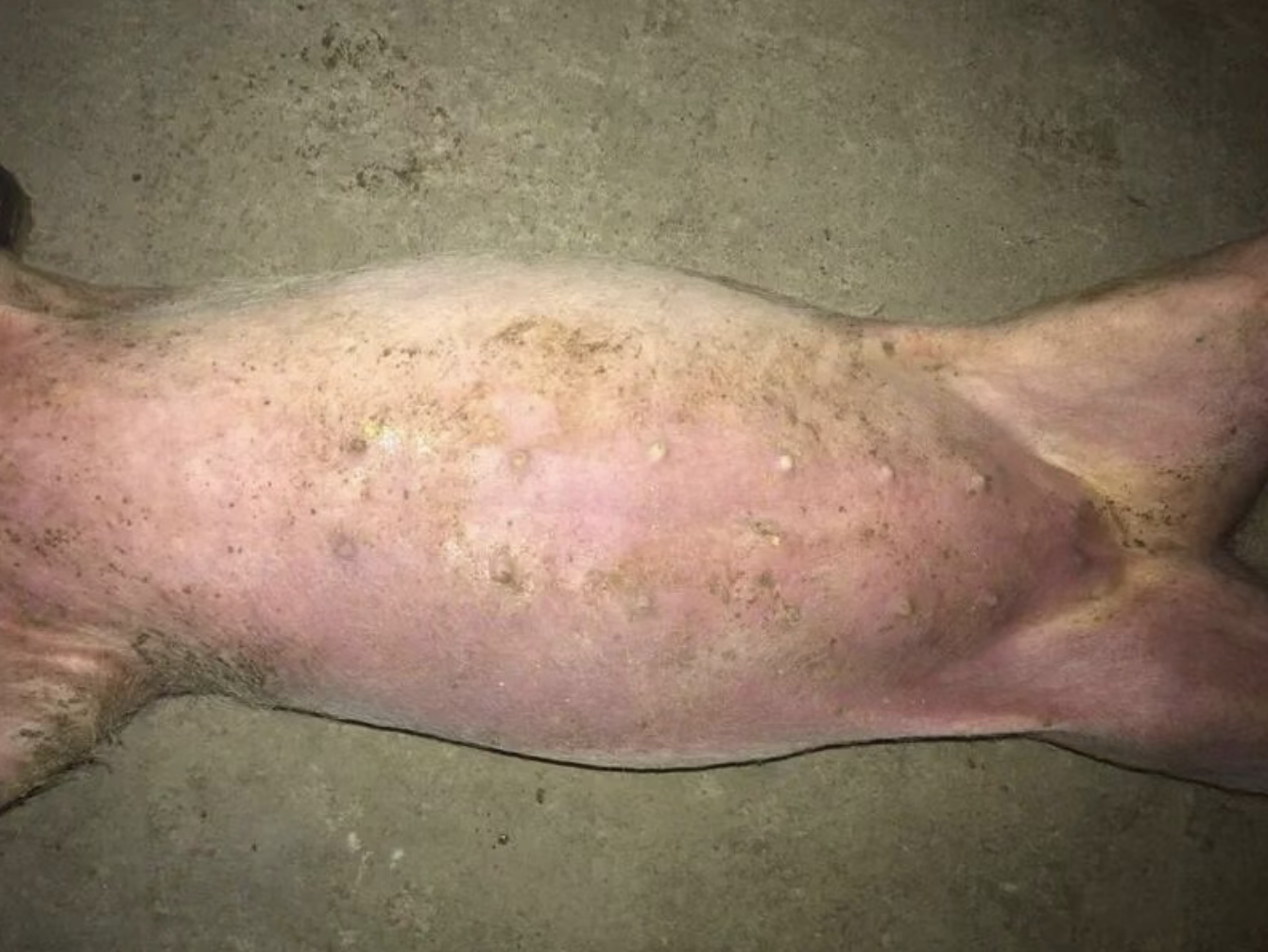 截屏2026-03-20 12.48.52.png 截屏2026-03-20 12.48.52.png