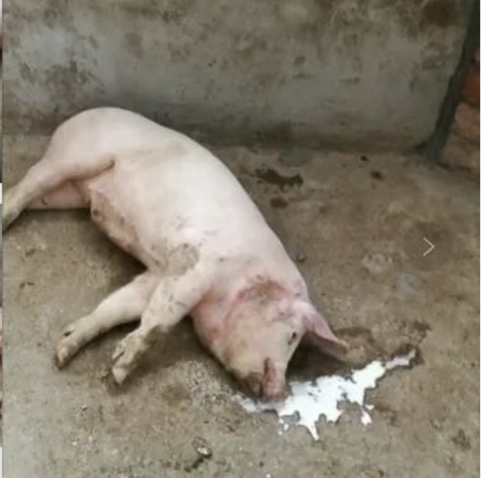 截屏2026-03-20 12.47.10.png 截屏2026-03-20 12.47.10.png