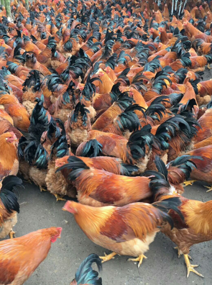 1722593800243215.png 1722593800243215.png